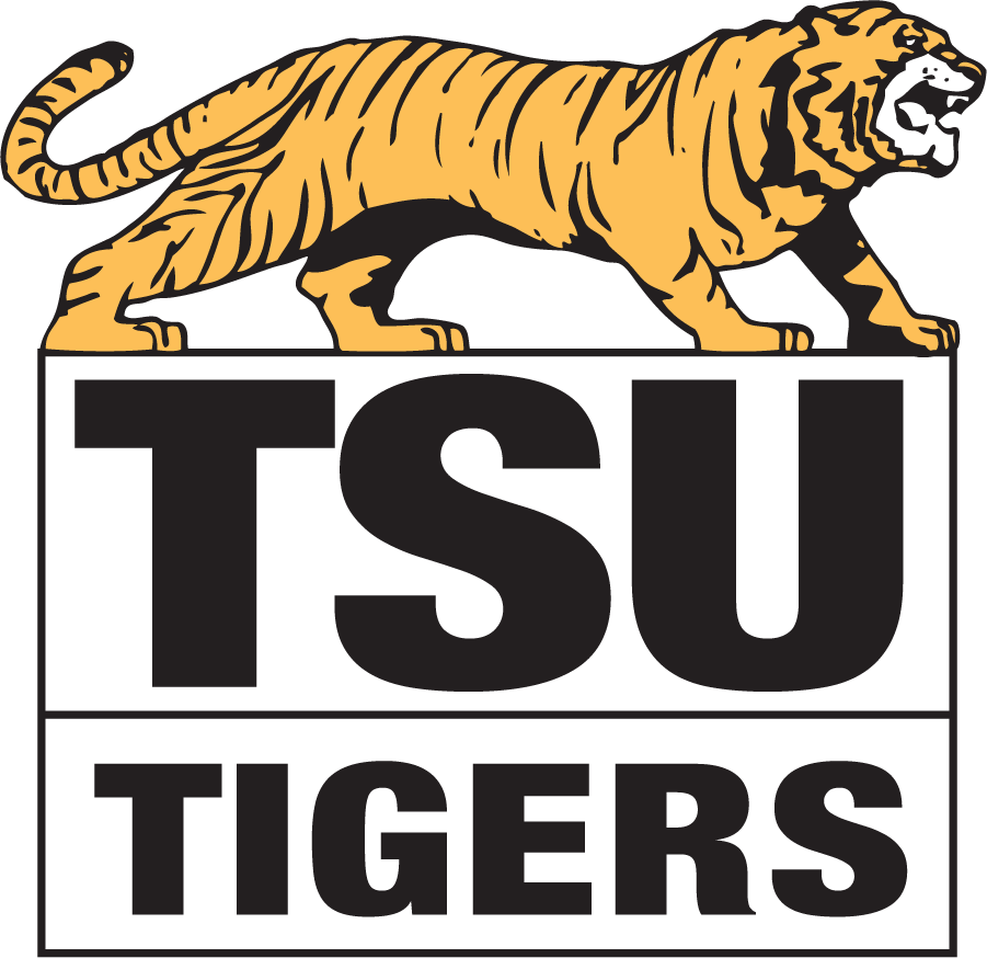 Towson Tigers 1979-1985 Primary Logo iron on transfers for T-shirts